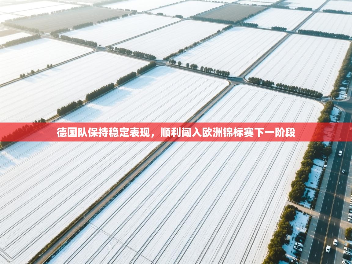 德国队保持稳定表现，顺利闯入欧洲锦标赛下一阶段  第1张