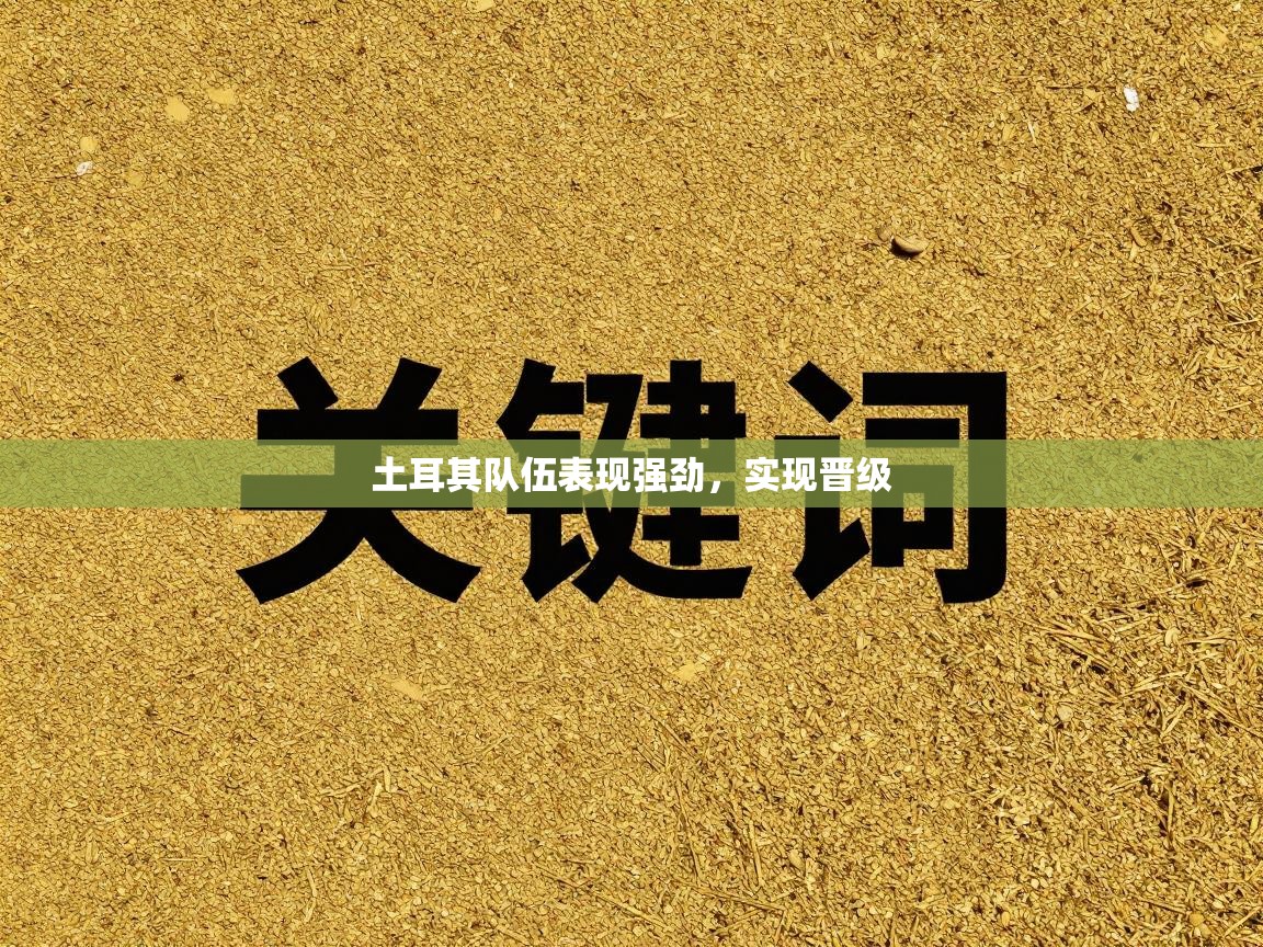 土耳其队伍表现强劲，实现晋级