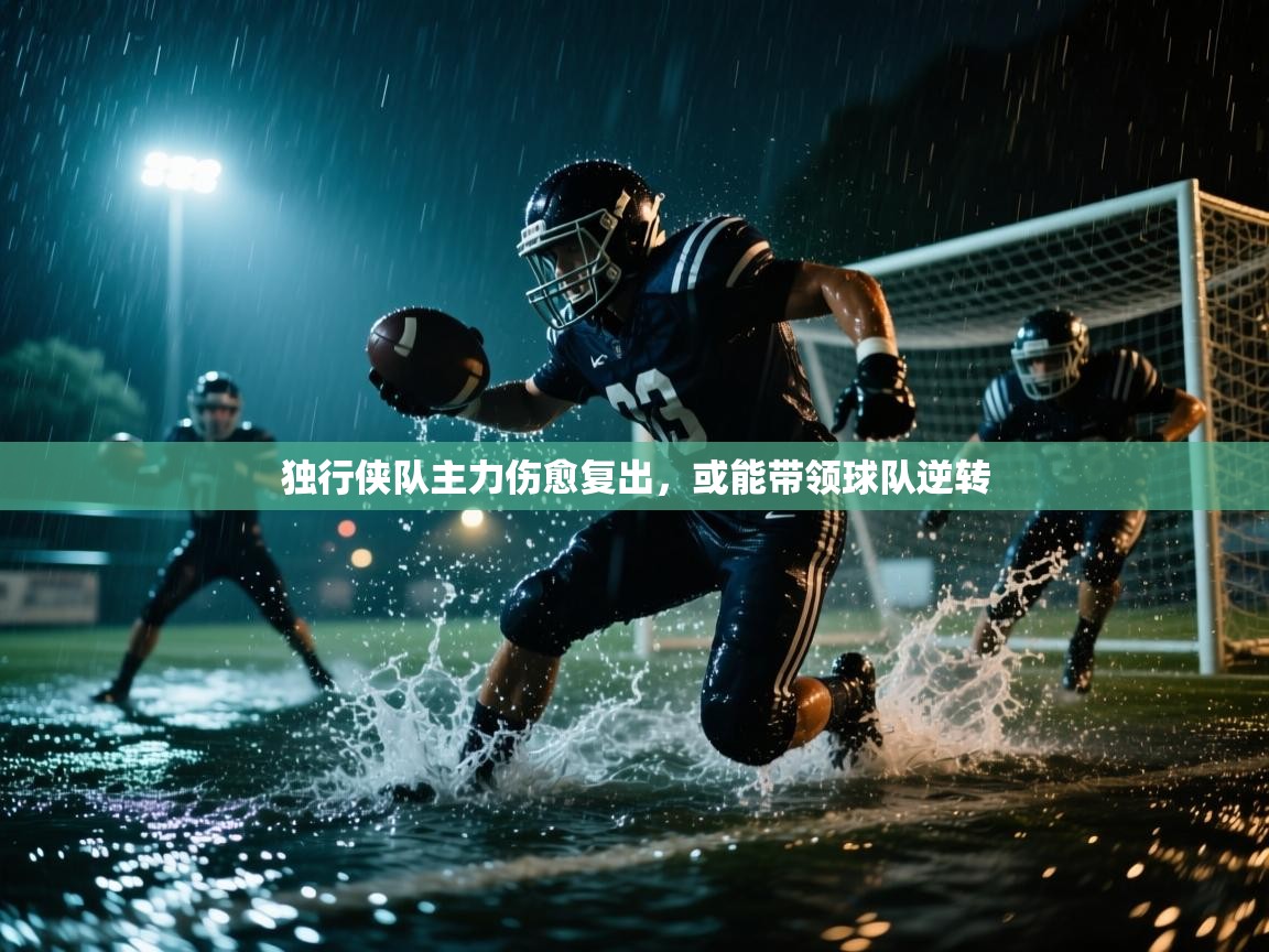 独行侠队主力伤愈复出，或能带领球队逆转  第1张